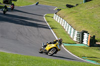 Fast Group Yellow Bikes