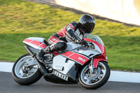 Evening Fast/Inter Multicolour Bikes