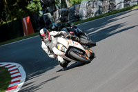 cadwell-no-limits-trackday;cadwell-park;cadwell-park-photographs;cadwell-trackday-photographs;enduro-digital-images;event-digital-images;eventdigitalimages;no-limits-trackdays;peter-wileman-photography;racing-digital-images;trackday-digital-images;trackday-photos
