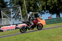Novice Group Red Bikes