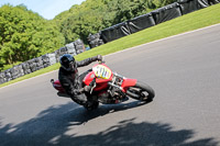 cadwell-no-limits-trackday;cadwell-park;cadwell-park-photographs;cadwell-trackday-photographs;enduro-digital-images;event-digital-images;eventdigitalimages;no-limits-trackdays;peter-wileman-photography;racing-digital-images;trackday-digital-images;trackday-photos