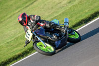 Evening Novice/Inter Blue Bikes