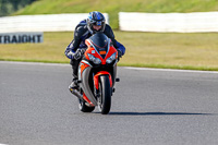 Fast Group Orange Bikes