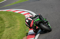 Fast Green Bikes