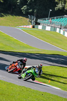 Fast Green Bikes