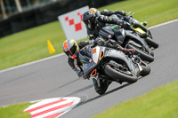 Fast Silver/Grey Bikes