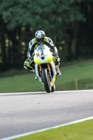 Fast Yellow Bikes