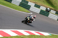 cadwell-no-limits-trackday;cadwell-park;cadwell-park-photographs;cadwell-trackday-photographs;enduro-digital-images;event-digital-images;eventdigitalimages;no-limits-trackdays;peter-wileman-photography;racing-digital-images;trackday-digital-images;trackday-photos