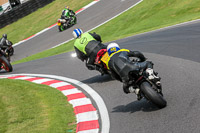 cadwell-no-limits-trackday;cadwell-park;cadwell-park-photographs;cadwell-trackday-photographs;enduro-digital-images;event-digital-images;eventdigitalimages;no-limits-trackdays;peter-wileman-photography;racing-digital-images;trackday-digital-images;trackday-photos