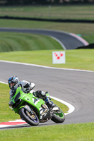 Novice Green Bikes