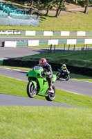 Novice Green Bikes