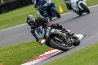 Novice Silver/Grey Bikes