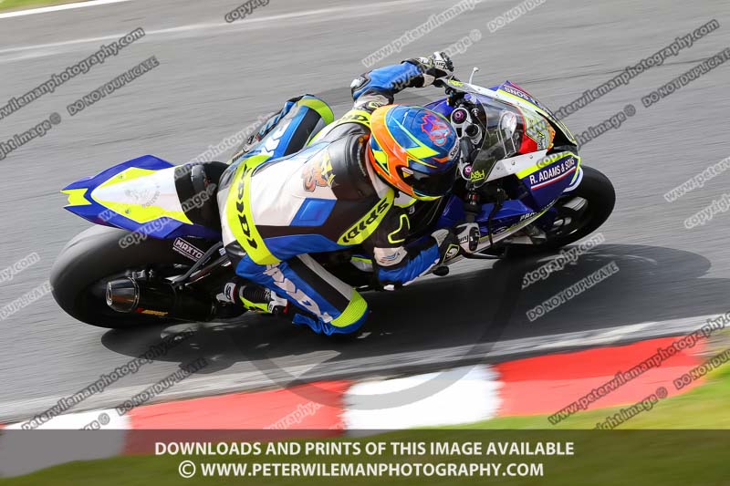 anglesey;brands hatch;cadwell park;croft;donington park;enduro digital images;event digital images;eventdigitalimages;mallory;no limits;oulton park;peter wileman photography;racing digital images;silverstone;snetterton;trackday digital images;trackday photos;vmcc banbury run;welsh 2 day enduro