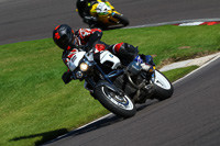 anglesey;brands-hatch;cadwell-park;croft;donington-park;enduro-digital-images;event-digital-images;eventdigitalimages;mallory;no-limits;oulton-park;peter-wileman-photography;racing-digital-images;silverstone;snetterton;trackday-digital-images;trackday-photos;vmcc-banbury-run;welsh-2-day-enduro