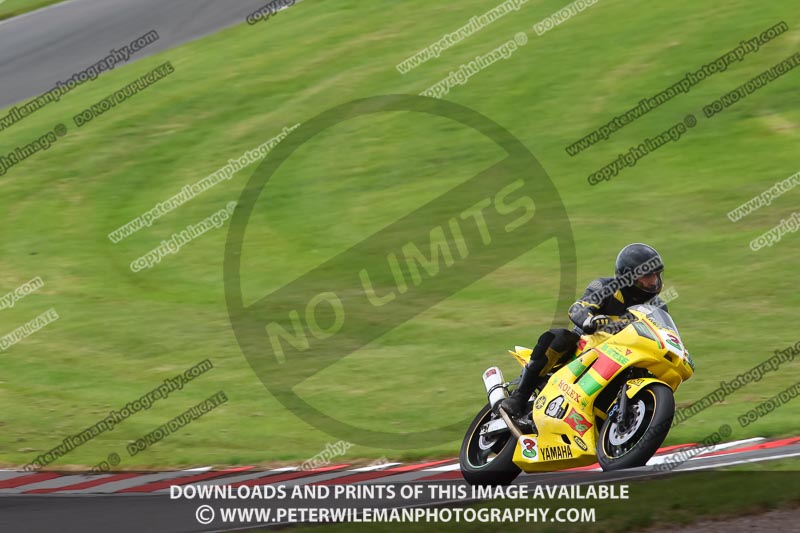 anglesey;brands hatch;cadwell park;croft;donington park;enduro digital images;event digital images;eventdigitalimages;mallory;no limits;oulton park;peter wileman photography;racing digital images;silverstone;snetterton;trackday digital images;trackday photos;vmcc banbury run;welsh 2 day enduro