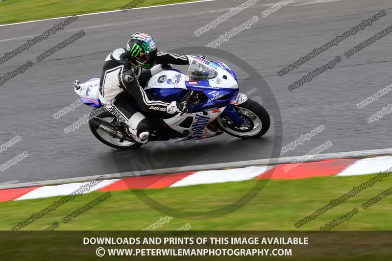 anglesey;brands hatch;cadwell park;croft;donington park;enduro digital images;event digital images;eventdigitalimages;mallory;no limits;oulton park;peter wileman photography;racing digital images;silverstone;snetterton;trackday digital images;trackday photos;vmcc banbury run;welsh 2 day enduro