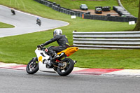 Inter White Bikes