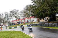 Novice Blue Bikes