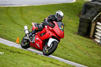 Novice Red Bikes