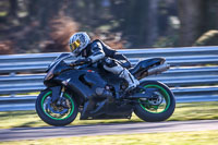 Novice Black Bikes