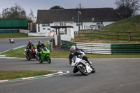 Inter/Novice Multicolour Bikes