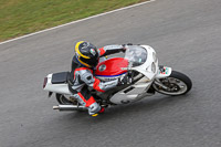 Inter/Novice White Bikes