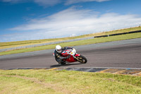 anglesey-no-limits-trackday;anglesey-photographs;anglesey-trackday-photographs;enduro-digital-images;event-digital-images;eventdigitalimages;no-limits-trackdays;peter-wileman-photography;racing-digital-images;trac-mon;trackday-digital-images;trackday-photos;ty-croes