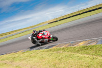 anglesey-no-limits-trackday;anglesey-photographs;anglesey-trackday-photographs;enduro-digital-images;event-digital-images;eventdigitalimages;no-limits-trackdays;peter-wileman-photography;racing-digital-images;trac-mon;trackday-digital-images;trackday-photos;ty-croes