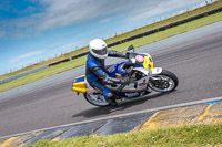 anglesey-no-limits-trackday;anglesey-photographs;anglesey-trackday-photographs;enduro-digital-images;event-digital-images;eventdigitalimages;no-limits-trackdays;peter-wileman-photography;racing-digital-images;trac-mon;trackday-digital-images;trackday-photos;ty-croes