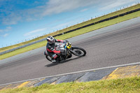 anglesey-no-limits-trackday;anglesey-photographs;anglesey-trackday-photographs;enduro-digital-images;event-digital-images;eventdigitalimages;no-limits-trackdays;peter-wileman-photography;racing-digital-images;trac-mon;trackday-digital-images;trackday-photos;ty-croes