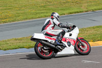 anglesey-no-limits-trackday;anglesey-photographs;anglesey-trackday-photographs;enduro-digital-images;event-digital-images;eventdigitalimages;no-limits-trackdays;peter-wileman-photography;racing-digital-images;trac-mon;trackday-digital-images;trackday-photos;ty-croes