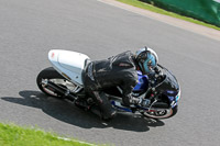 Novice Blue Bikes