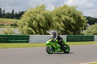 Novice Green Bikes