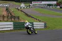 Novice Silver/Grey Bikes