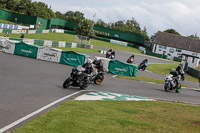 Novice Silver/Grey Bikes