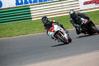 Novice White Bikes