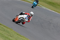 brands-hatch-photographs;brands-no-limits-trackday;cadwell-trackday-photographs;enduro-digital-images;event-digital-images;eventdigitalimages;no-limits-trackdays;peter-wileman-photography;racing-digital-images;trackday-digital-images;trackday-photos