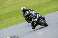 Novice Black Bikes