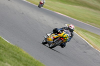 Novice Yellow Bikes