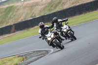 Inter Group Silver/Grey Bikes