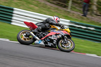 cadwell-no-limits-trackday;cadwell-park;cadwell-park-photographs;cadwell-trackday-photographs;enduro-digital-images;event-digital-images;eventdigitalimages;no-limits-trackdays;peter-wileman-photography;racing-digital-images;trackday-digital-images;trackday-photos