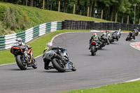 cadwell-no-limits-trackday;cadwell-park;cadwell-park-photographs;cadwell-trackday-photographs;enduro-digital-images;event-digital-images;eventdigitalimages;no-limits-trackdays;peter-wileman-photography;racing-digital-images;trackday-digital-images;trackday-photos