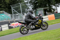 Novice Black Bikes