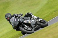 Novice Black Bikes