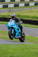 Novice Blue Bikes