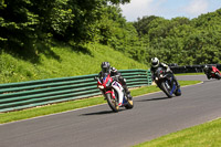 cadwell-no-limits-trackday;cadwell-park;cadwell-park-photographs;cadwell-trackday-photographs;enduro-digital-images;event-digital-images;eventdigitalimages;no-limits-trackdays;peter-wileman-photography;racing-digital-images;trackday-digital-images;trackday-photos