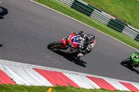 cadwell-no-limits-trackday;cadwell-park;cadwell-park-photographs;cadwell-trackday-photographs;enduro-digital-images;event-digital-images;eventdigitalimages;no-limits-trackdays;peter-wileman-photography;racing-digital-images;trackday-digital-images;trackday-photos