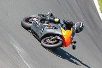 Fast Group Orange Bikes