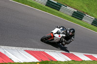 cadwell-no-limits-trackday;cadwell-park;cadwell-park-photographs;cadwell-trackday-photographs;enduro-digital-images;event-digital-images;eventdigitalimages;no-limits-trackdays;peter-wileman-photography;racing-digital-images;trackday-digital-images;trackday-photos