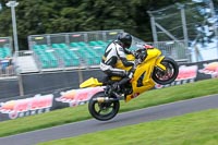Fast Group Yellow Bikes